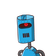 guest