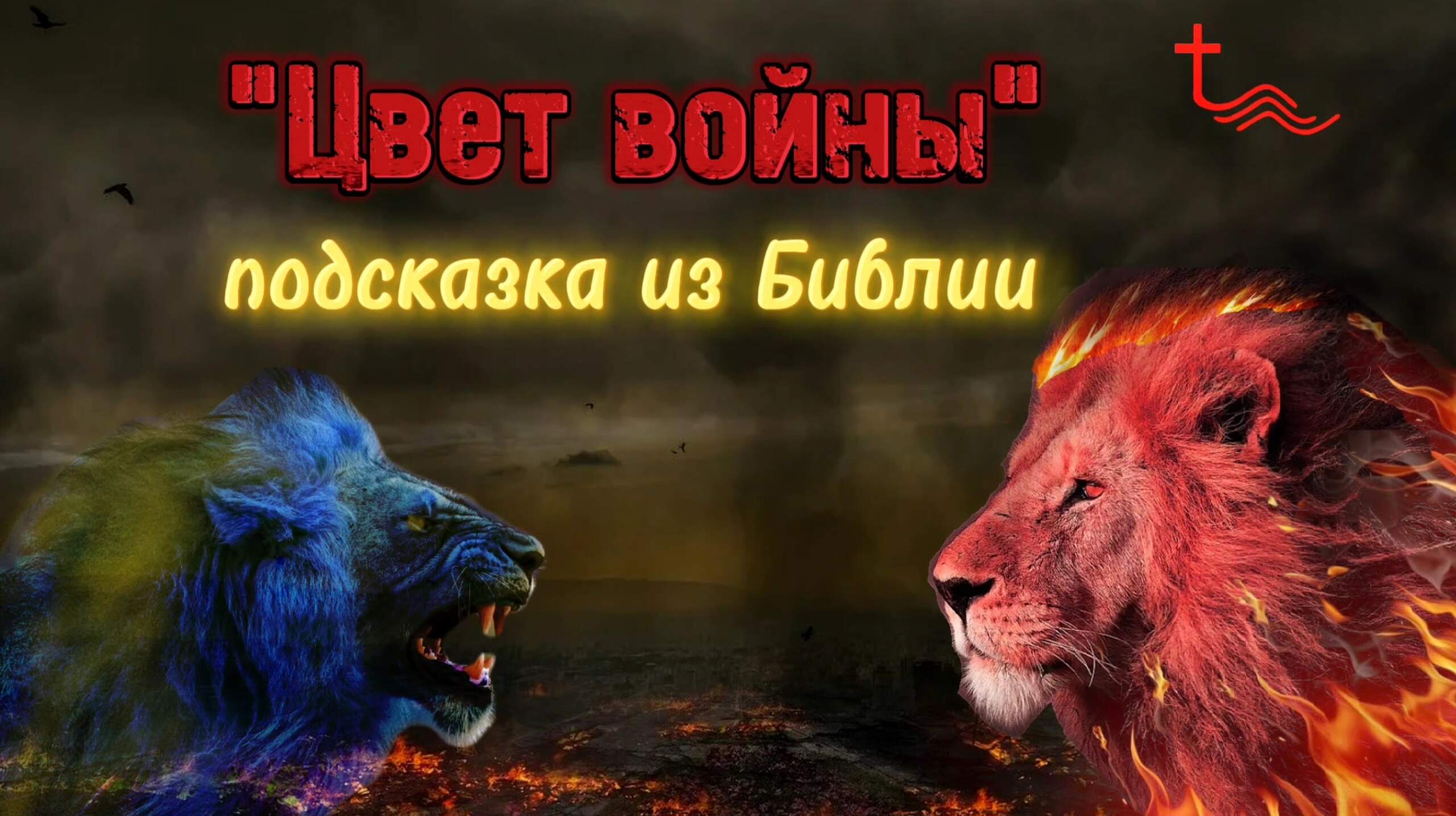 Цвет войны