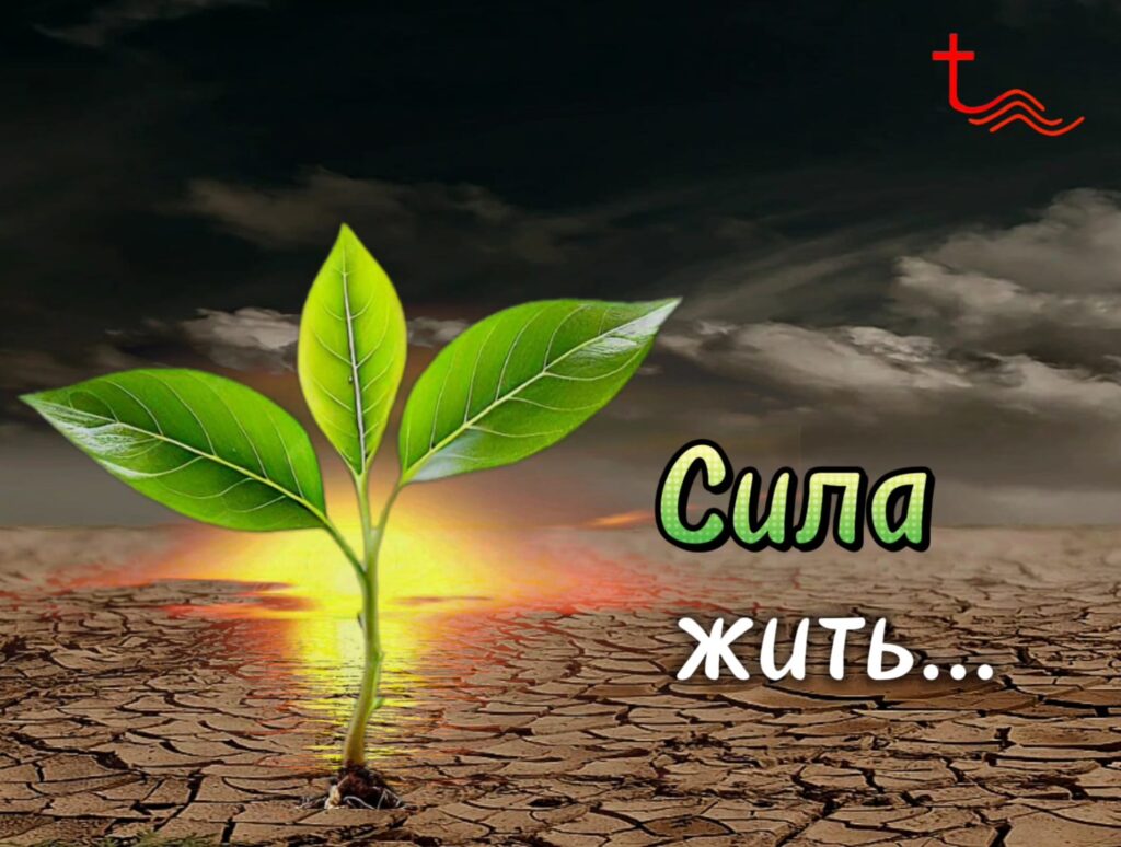 Сила жизни
