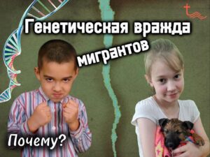 Генетическая вражда мигрантов