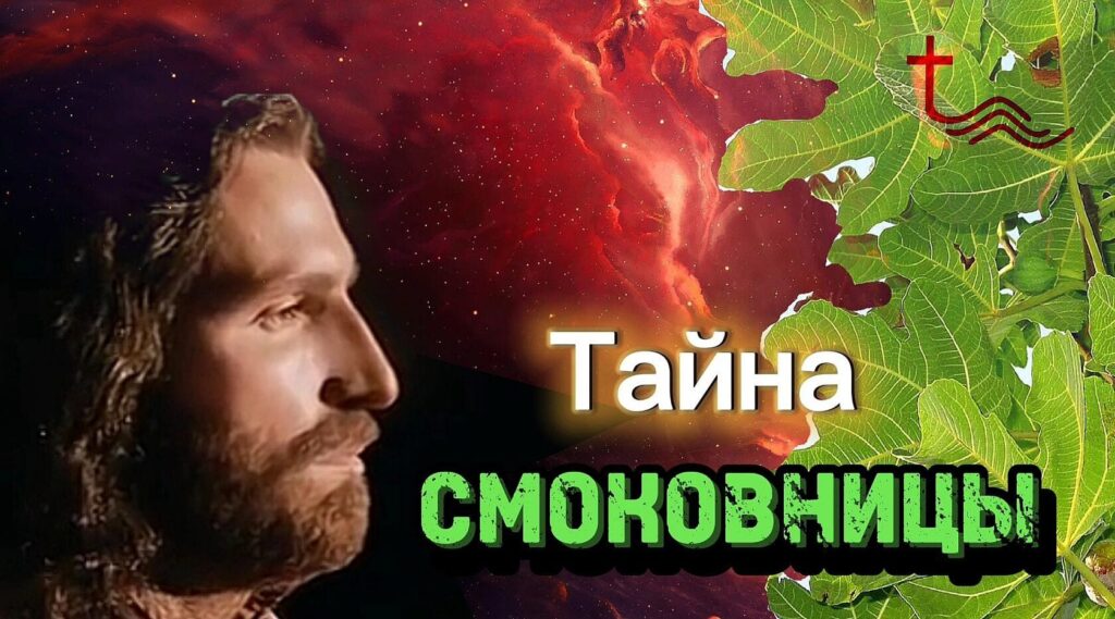 Тайна смоковницы